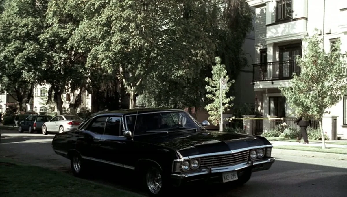 Фото галереи #6