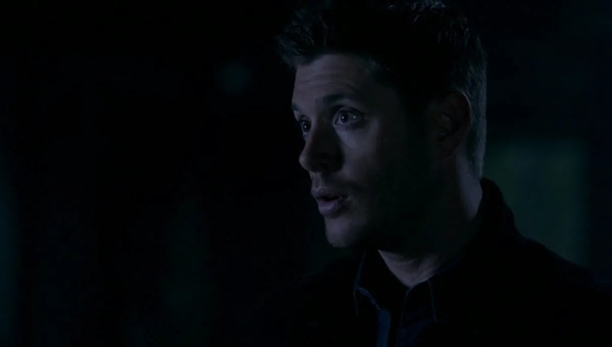 Фото галереи #4