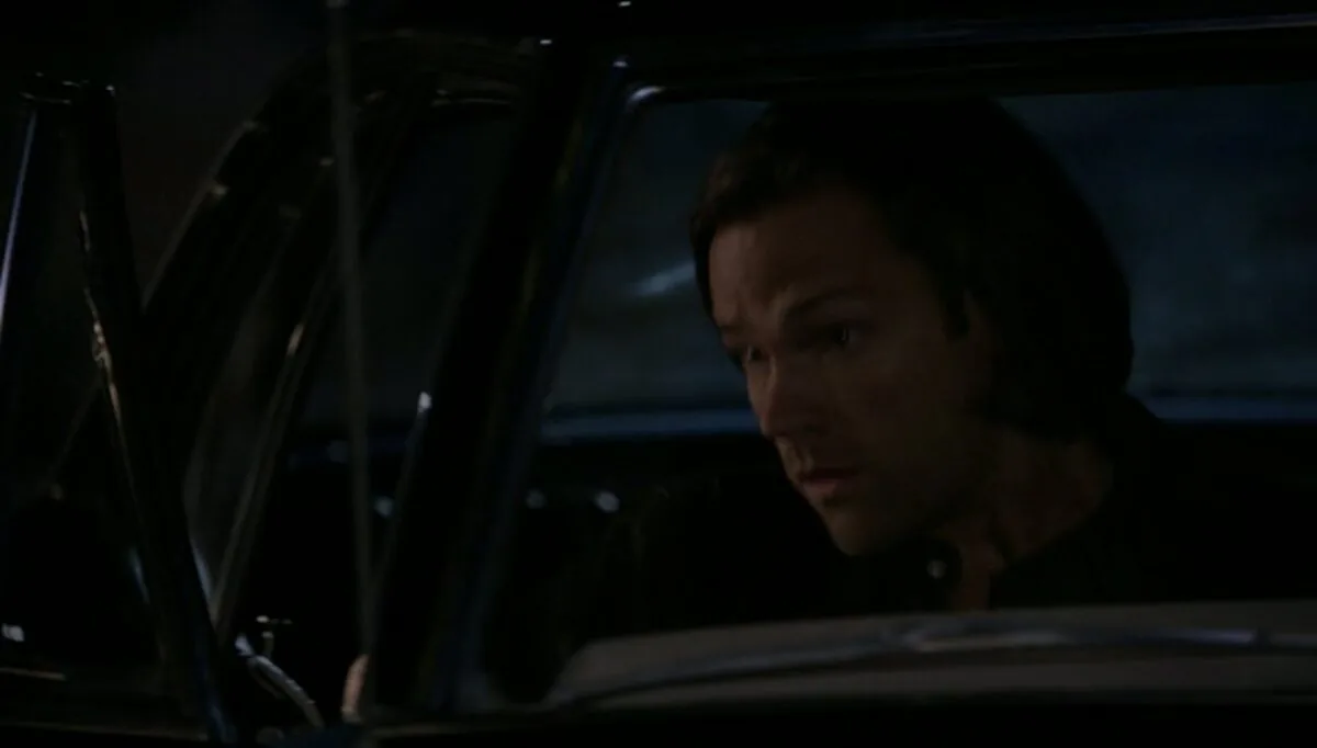 Фото галереи #6