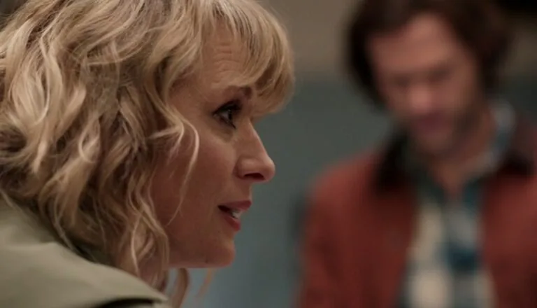 Картинка к «12 сезон 12 серия»