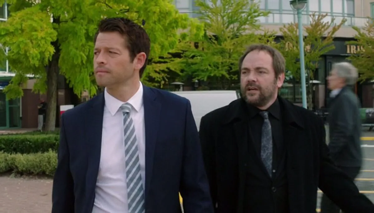 Фото галереи #7