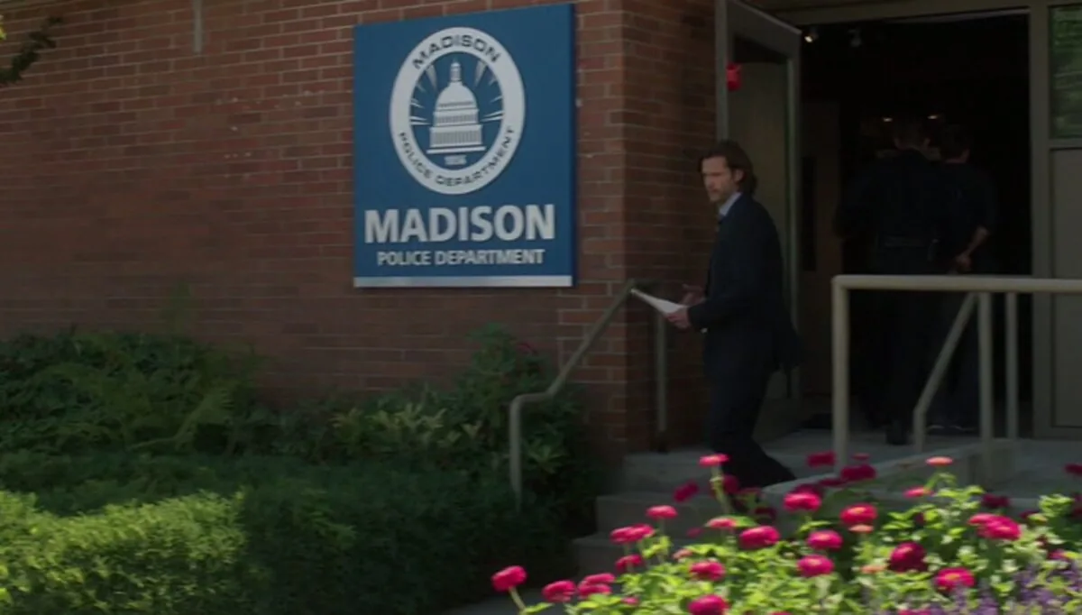 Фото галереи #4