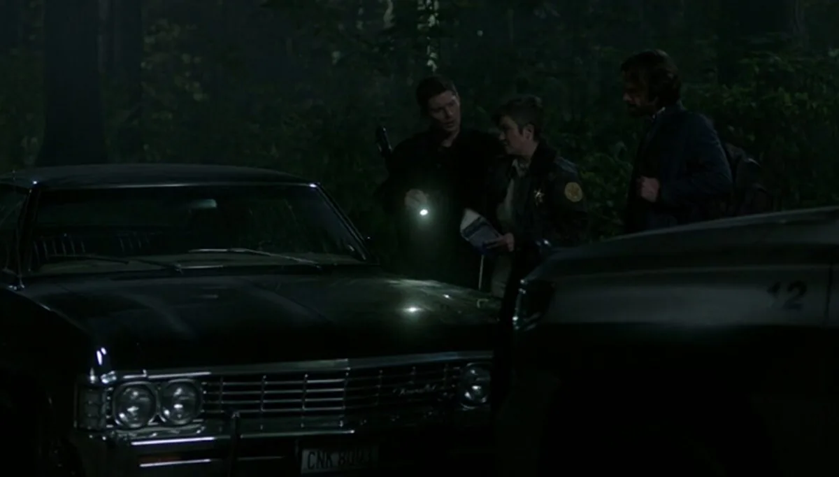 Фото галереи #3