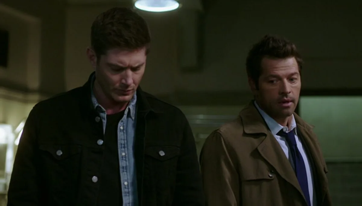 Фото галереи #8