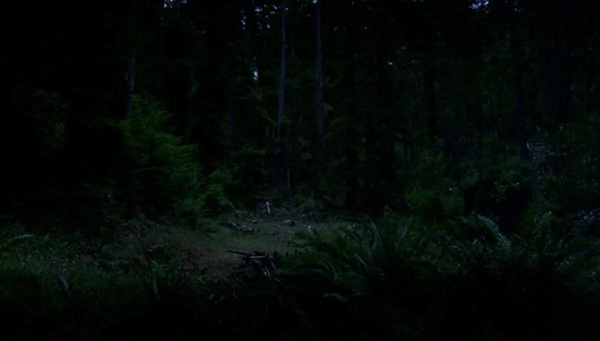 Фото галереи #8