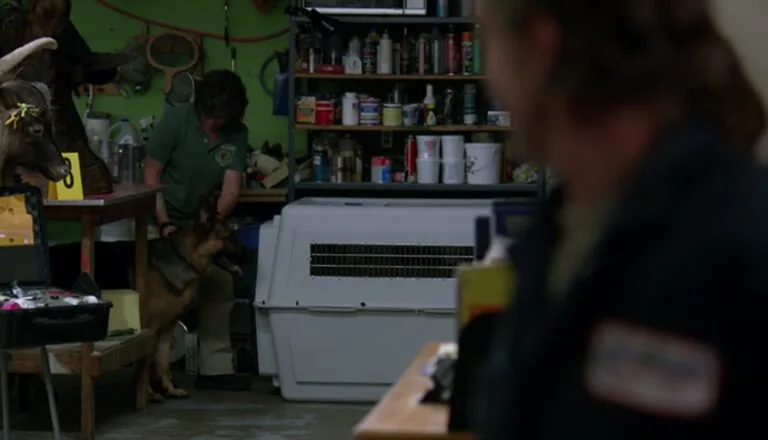 Момент из 5 серии 9 сезона